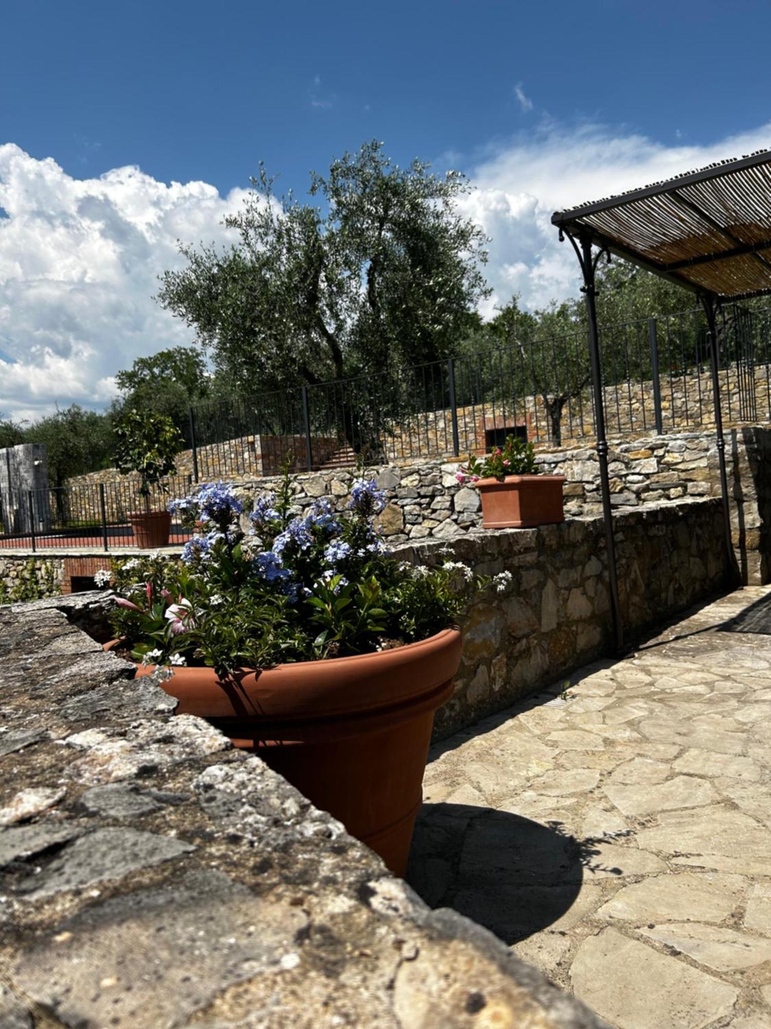 Borgo A Monti Di Sotto Villa Gaiole in Chianti Luaran gambar